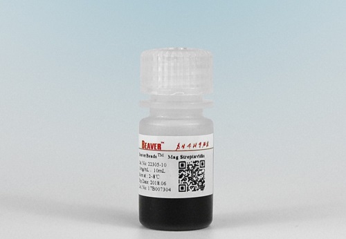 70102-50�������x����BeaverBeads Mag COOH