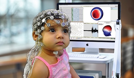 �X�/�¼����P�λϵ�y��EEG/ERP��