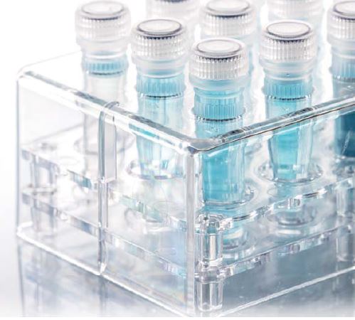 ΢����ñ��