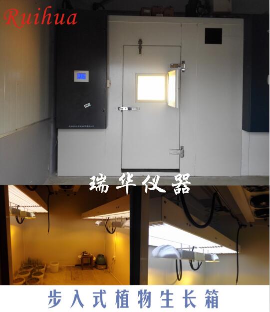 ����ʽֲ�����L��