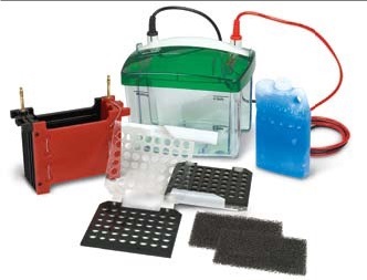 1703930 ���� С���D(zhu��n)ӡ��