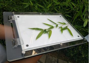 ����ʽ�~��e�y(c��)���xHLY-LEAFII