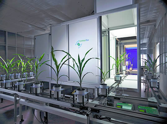 �����͸�ͨ��ֲ�����ƽ�_