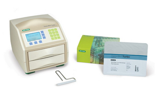 ����(gu��)����(l��)ȫ���͵����D(zhu��n)ӡϵ�y(t��ng)1704150