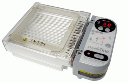 Mupid-One/2plus/EXUһ�wʽˮƽ�Ӿ��