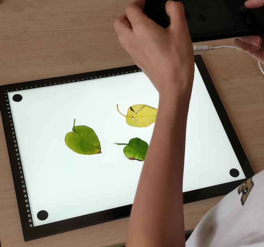 LA-Sϵ���֙C(j��)���տ��~��e�x�~��e�����x