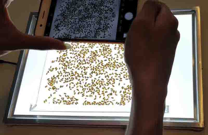 �f��SC-H�֙C���տ�N�Ӕ�(sh��)���x�Ԅ�Ӌ��(sh��)�x