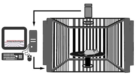 OptodrumС����ҕ�X�����z�yϵ�y(t��ng)