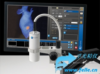 ���t����w�ɹ����ϵ�y(t��ng)