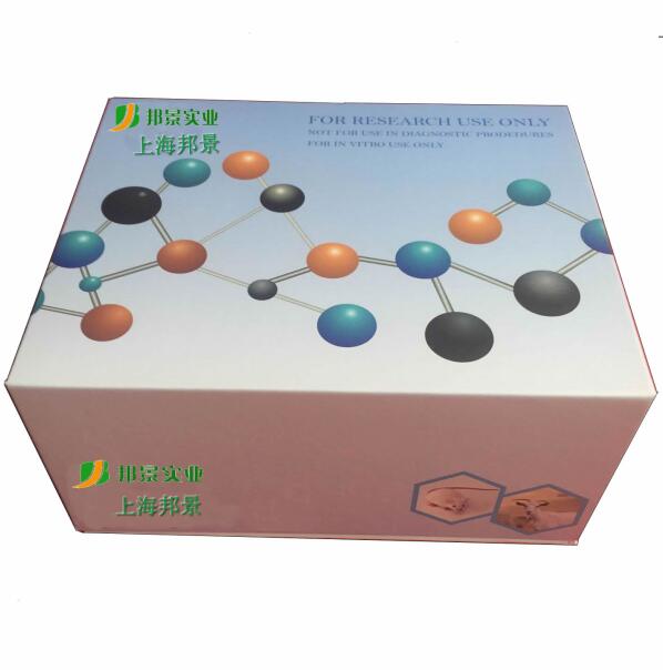 �S����D elisa�z�yԇ�����������u