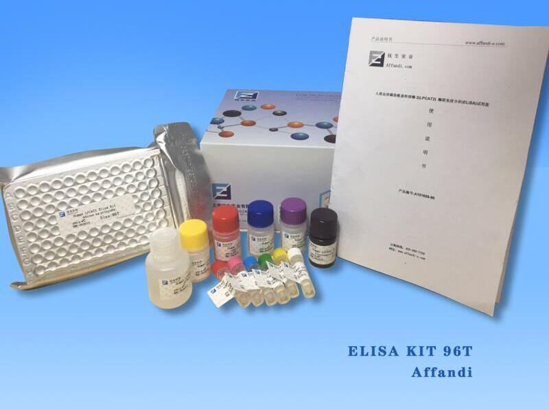 �S����D2 elisa�z�yԇ���������u