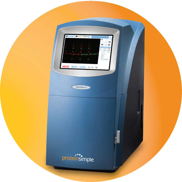 ���`����ɫ�ɹ�/���W�l(f��)��������ϵ�y(t��ng)