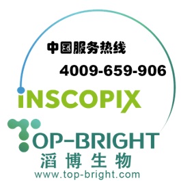 Inscopix��(j��ng)Ԫ��΢�}����ϵ�y(t��ng)