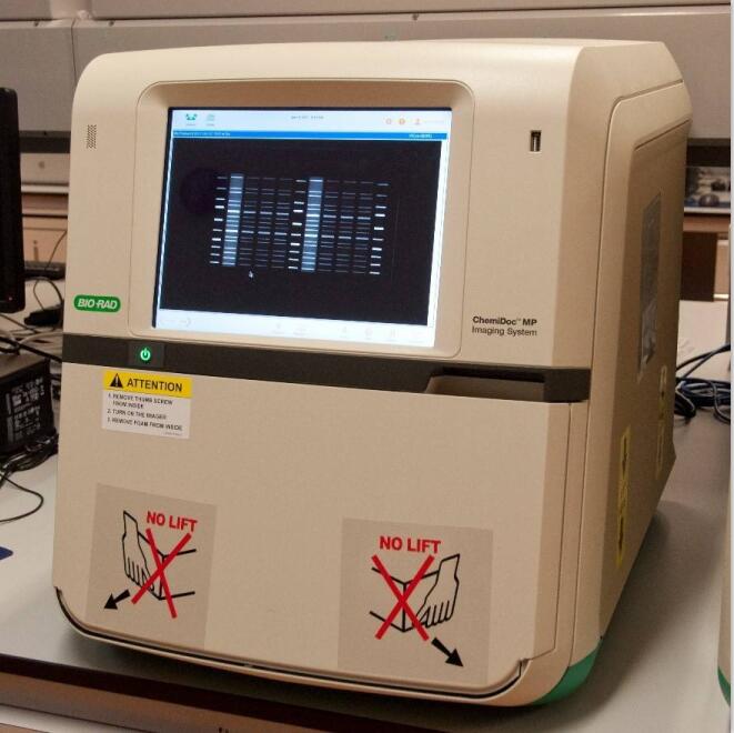 ����ChemiDoc MP���W�l(f��)�����z����ϵ�y(t��ng)