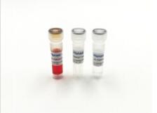 16�׳���(qi��ng)���ٴ����ܣ��yɫ��