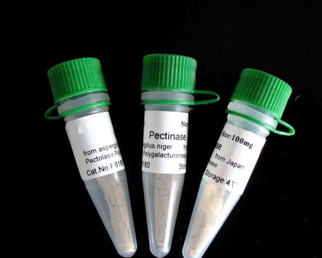 CD44V4���w�f����