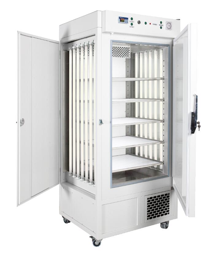 snijders��(j��ng)���͹������B(y��ng)��