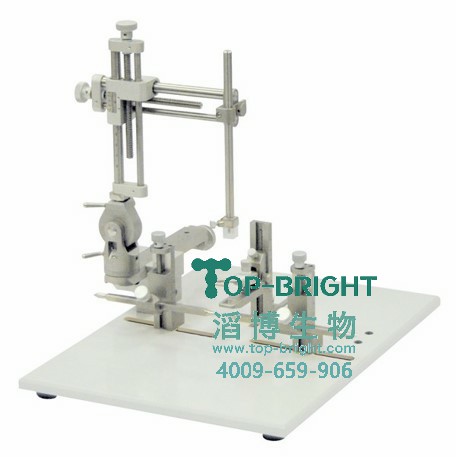 С���X���w��λ�x