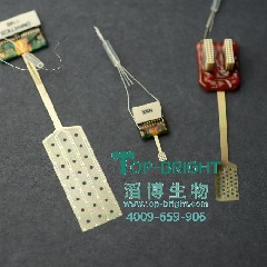 ECoG늘O/Ƥ���X�늘O