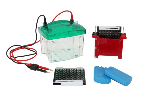 �D(zhu��n)���Ӿ�� �D(zhu��n)ӡ�Ӿ�� �D(zhu��n)ģ�Ӿ��