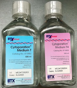 BTX��Ч��D(zhu��n)Ⱦ���_Һ�؃r