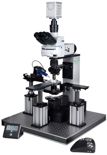 OpenStand Electrophysiology Solution