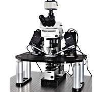 Scientifica SSPro 2000ĤƬ�Q�@΢����ϵ�y(t��ng)