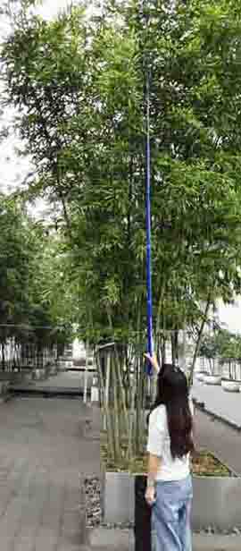 �f��LA-H�ͱ�yʽֲ���ԄӜy�߃x