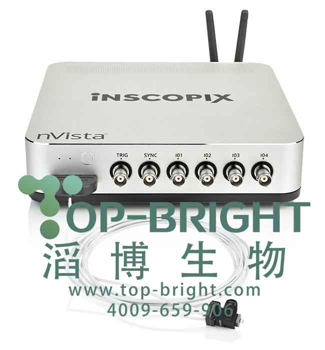 nVista��(j��ng)Ԫ��΢����