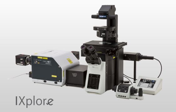 ���ڽ�Q�������@΢�Rϵ�y(t��ng) IXplore Spin