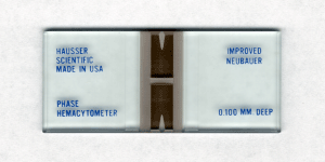 HausserѪ��(x��)��Ӌ��(sh��)��