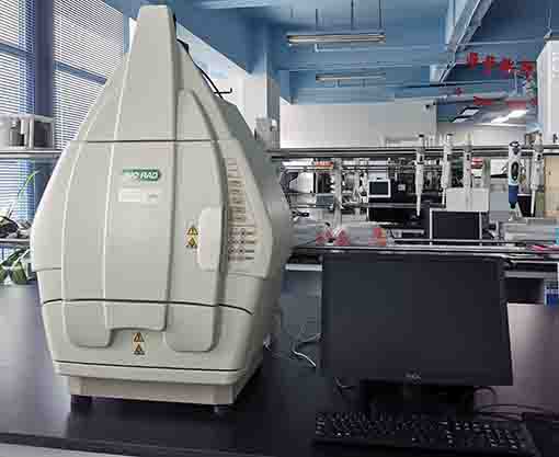 ����Bio-Red����XR+���z�������ϵ�y(t��ng)