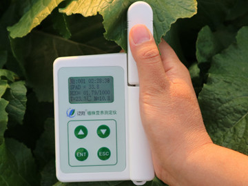 ����ZZYֲ��?du��)I�B(y��ng)�y(c��)���xʹ�÷���