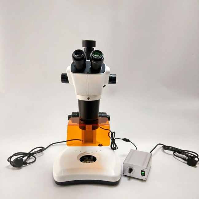 �ɹ��wҕ�@΢�R�wҕ�ɹ��@΢�R