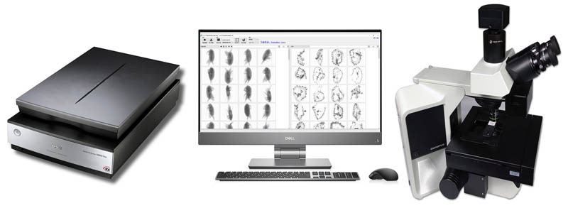 ����΄�(d��ng)���Ԅ�(d��ng)���Ӌ(j��)��(sh��)�x���ܶșz�y(c��)�x