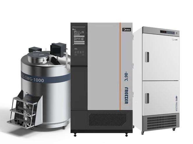 ���������t(y��)���ǻۘӱ������