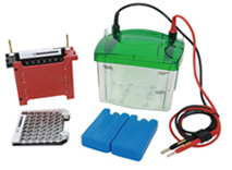 LF-ZY02�D(zhu��n)ӡ��