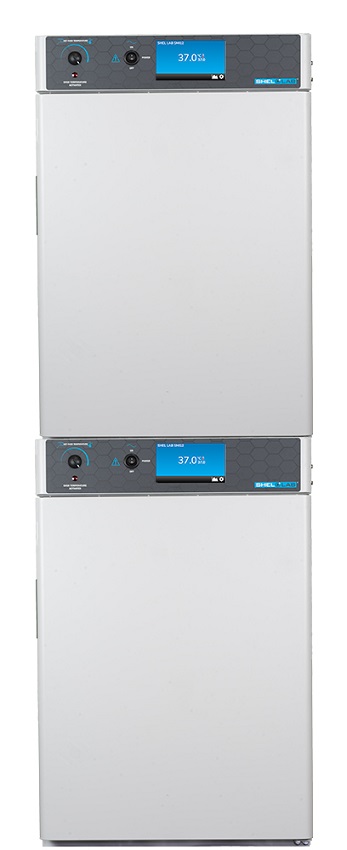 ������B(y��ng)��