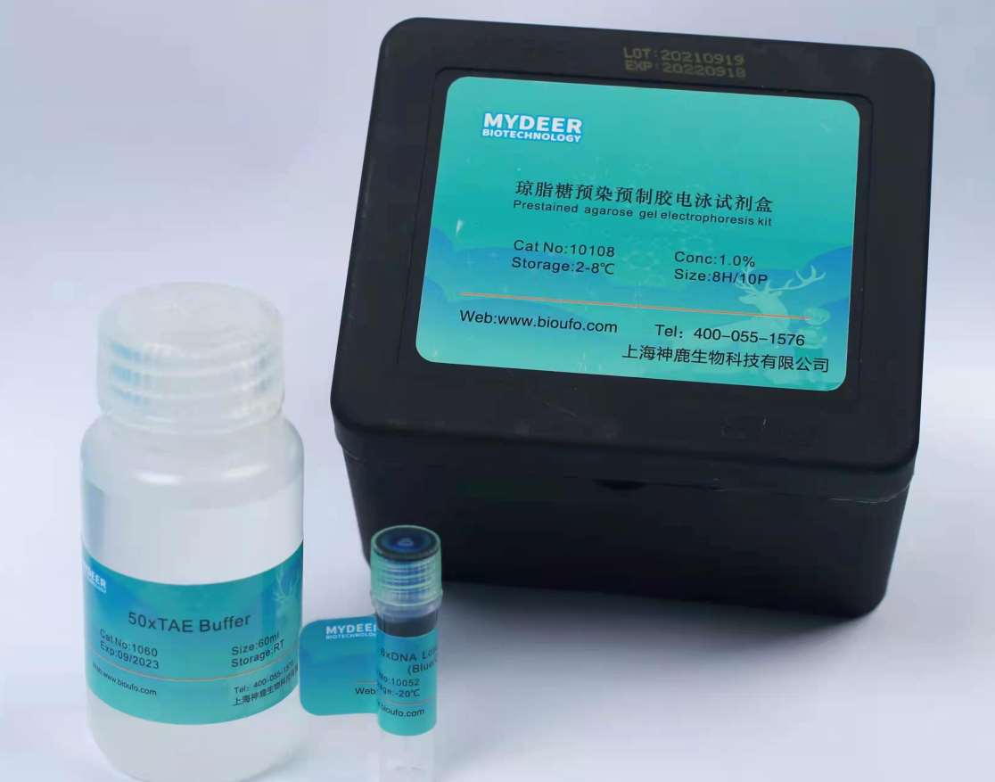 ��֬���AȾ�A���z�Ӿԇ����(���۴��N)