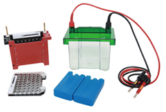 С���D(zhu��n)ӡ�Ӿ�ۣ����D(zhu��n)����֧��ԇ�ã�