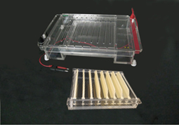 LF��31E��  ����ˮƽ�Ӿ�ۣ�֧��ԇ�ã�