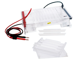 LF��31F�� ����ˮƽ�Ӿ�ۣ�֧��ԇ�ã�