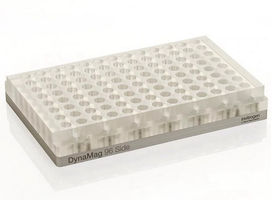 ِĬ�w����Thermo 96��Magnet������12331D