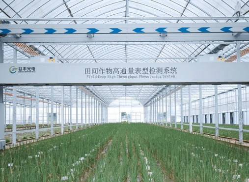 ���g����ƽ�_-ֲ�����ϵ�y(t��ng)-����ƽ�_