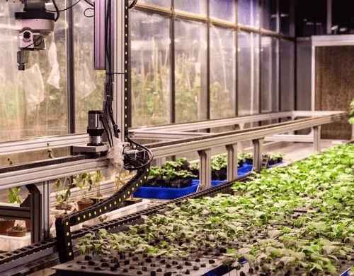 ��ͨ�������������ϵ�y(t��ng)-��ͨ��ֲ�����