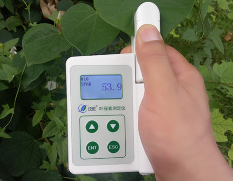 SPAD-2�����~�G�؜y���x