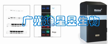 ɭ��ِ�� ���W(xu��)�l(f��)�����x�ɹ����ϵ�y(t��ng)