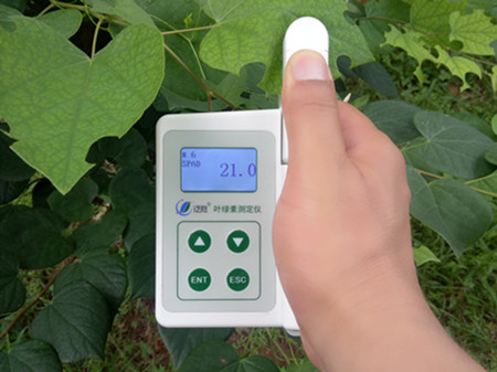 ����SPAD-2�~�G�؜y(c��)���x �~�G�؜y(c��)���x-2