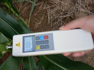 ����DDZϵ��ֲ�￹�����y���x