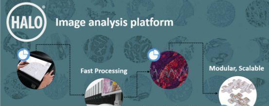 HALO��(sh��)�ֲ���D�����ƽ�_